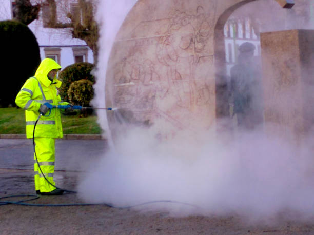 Best Affordable Pressure Washing  in Paris, KY